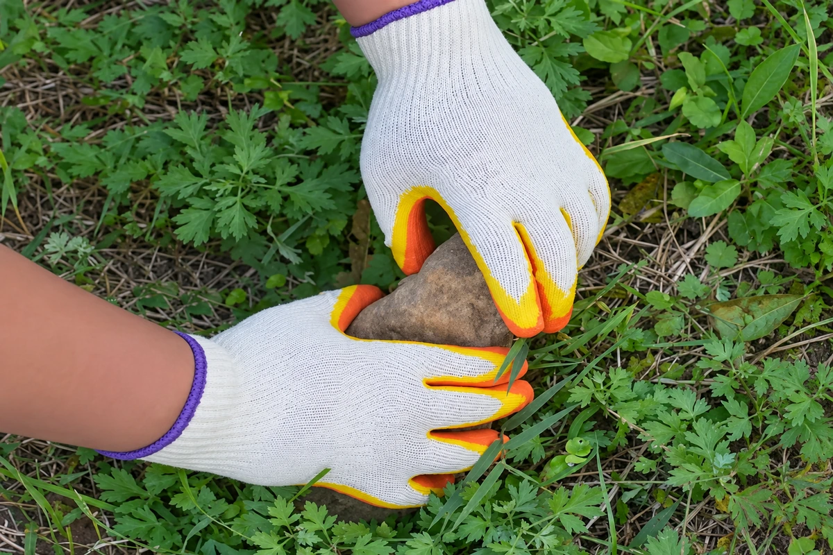 White and orange coated gloves holding a stone outdoors