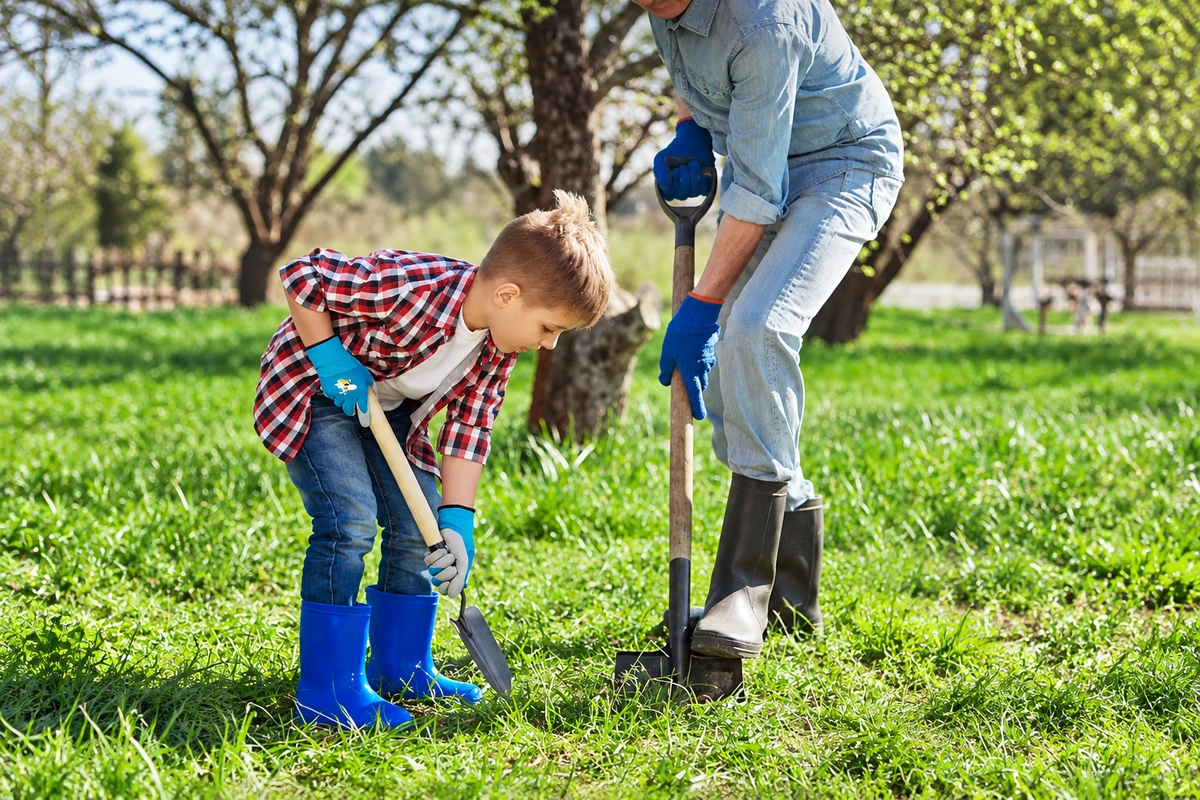 Child wearing blue garden gloves using a small spade beside an adult