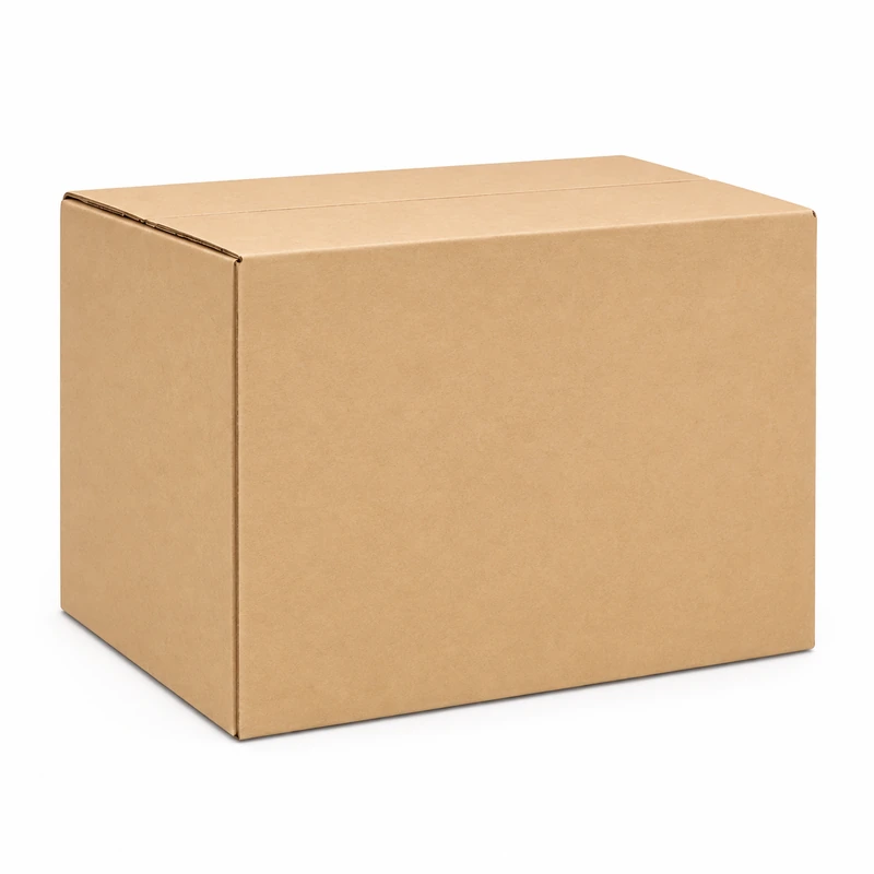 Plain brown cardboard carton for glove packaging